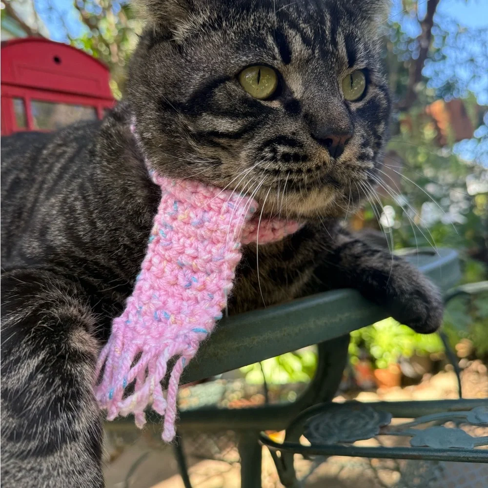 2 for 1 Cozy Cat / dog Scarf